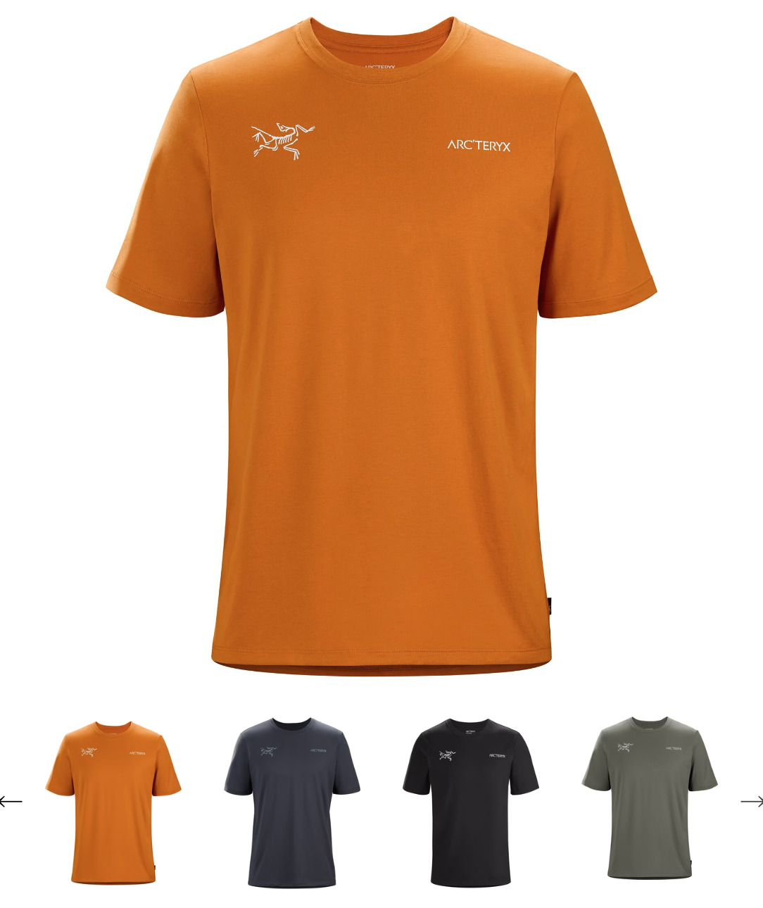 アークテリクス クワ 他2点 Tシャツ メンズLサイズ