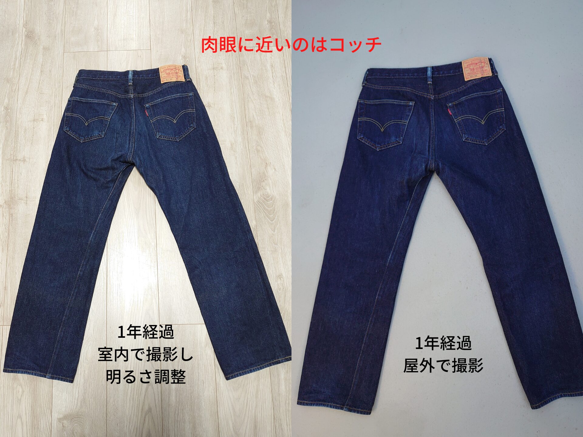 LVC1955室内と屋外のバック画像