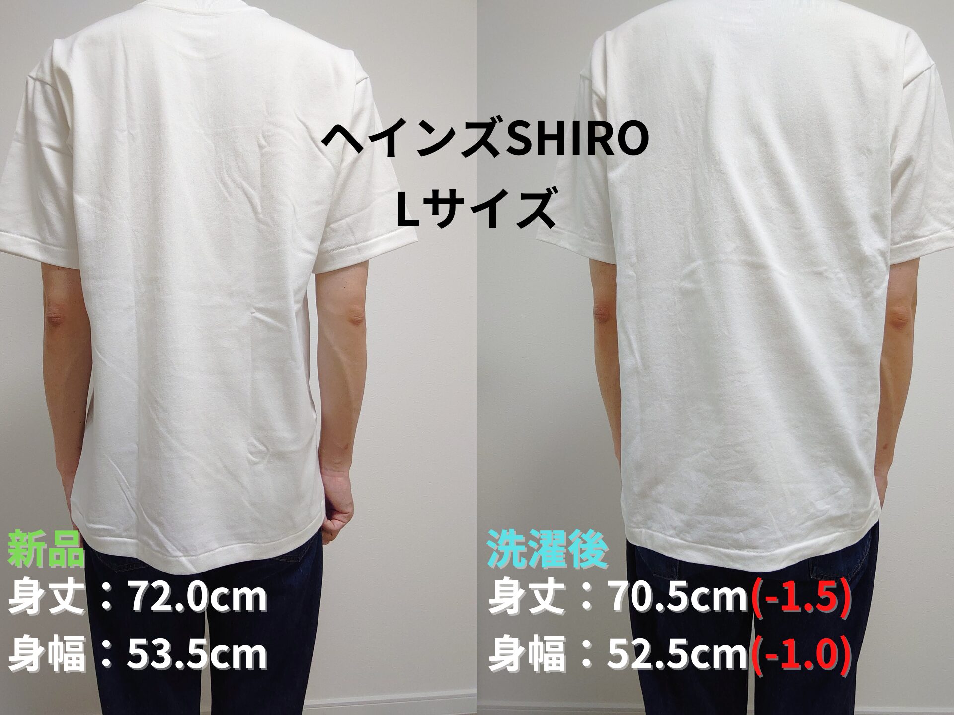 ヘインズSHIRO新品と洗濯後の後ろからの着用画像