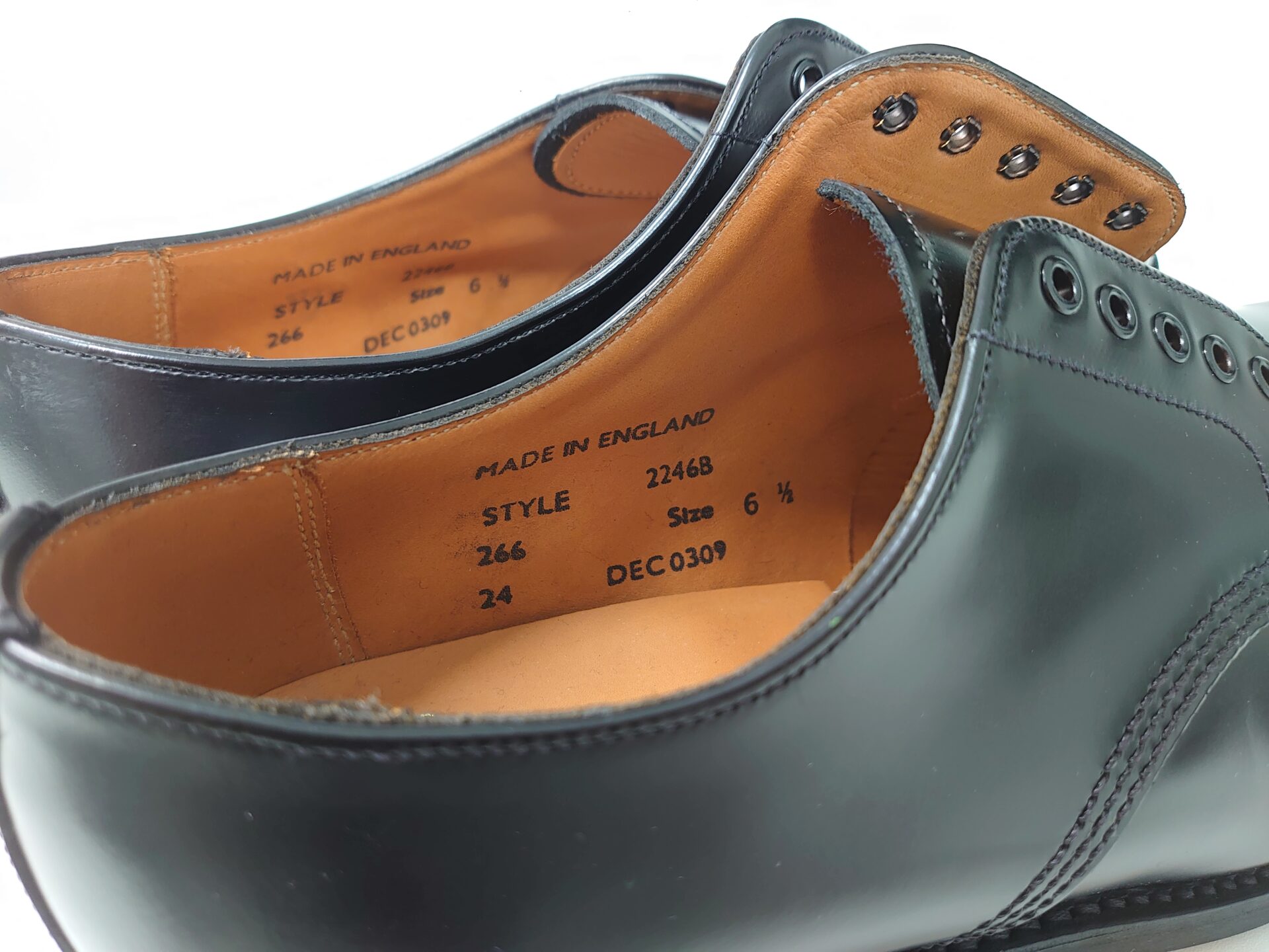 サンダース-オフィサーシュー-靴の中の画像2