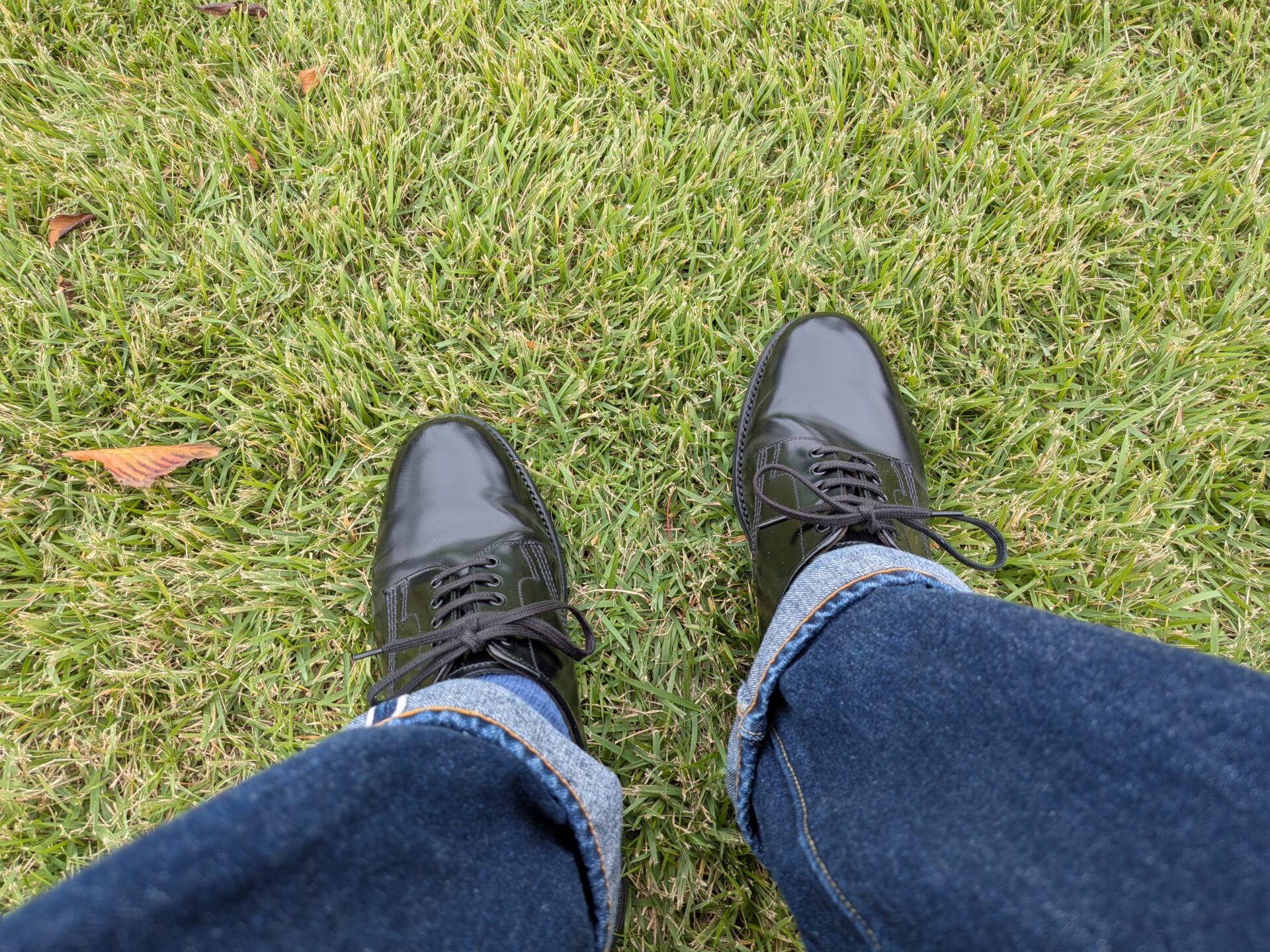 サンダース-オフィサーシュー-草原