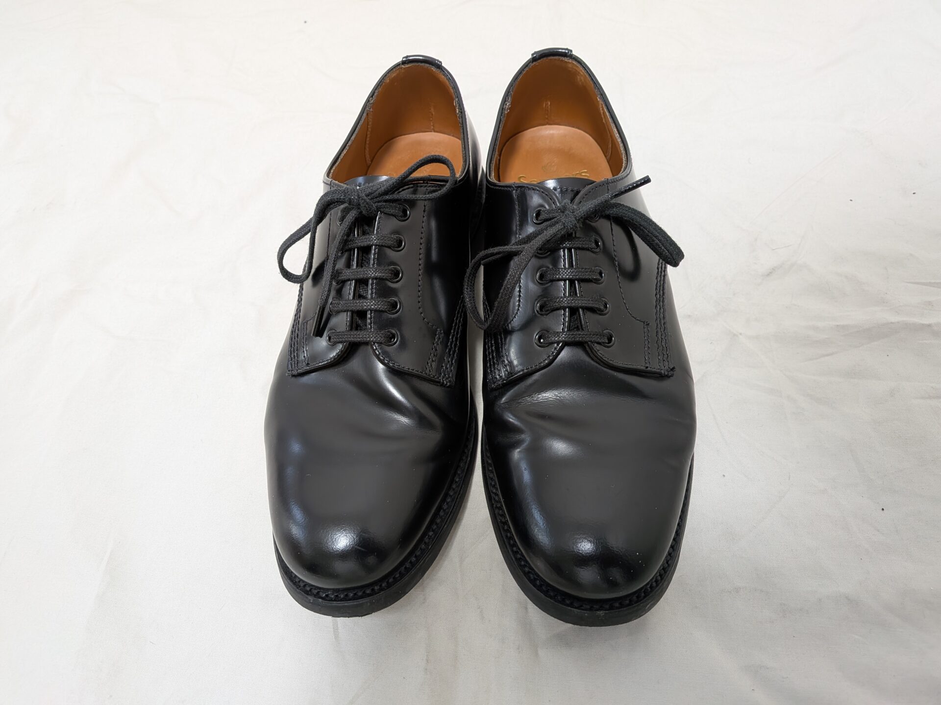 サンダースオフィサー-1ヶ月の経年変化