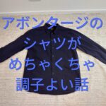 アボンタージ-アイキャッチ画像