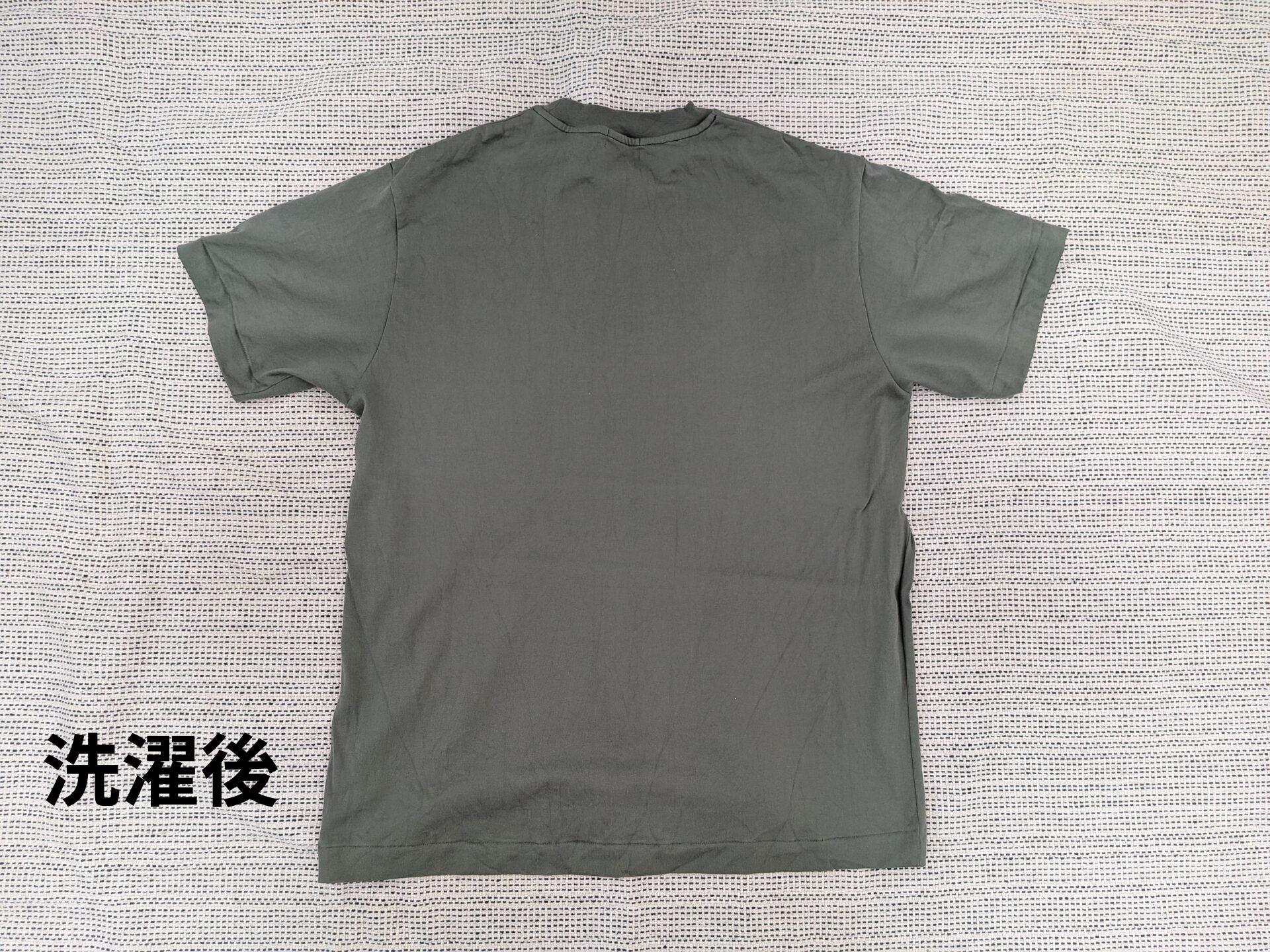 COTTONY® TEE-洗濯後2